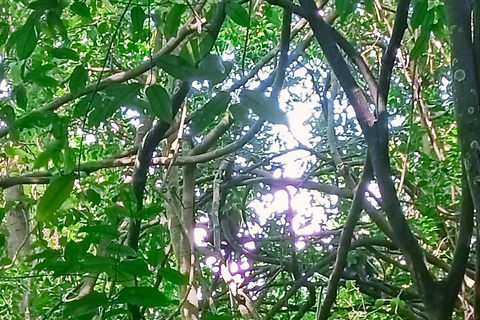 Countryside: Pepper Farm, Lake, Salt field Reflection Sunset