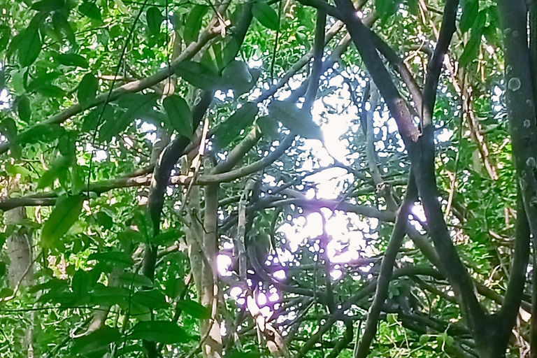 Countryside: Pepper Farm, Lake, Salt field Reflection Sunset