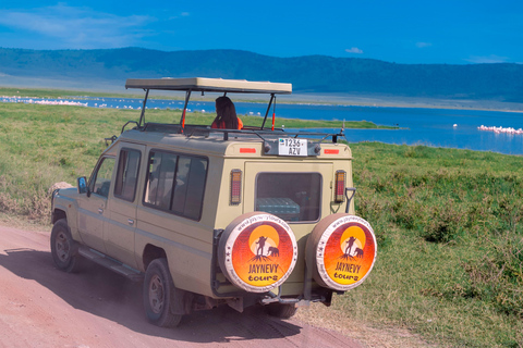 Arusha: 4-Day Birdwatching Expedition with Guide