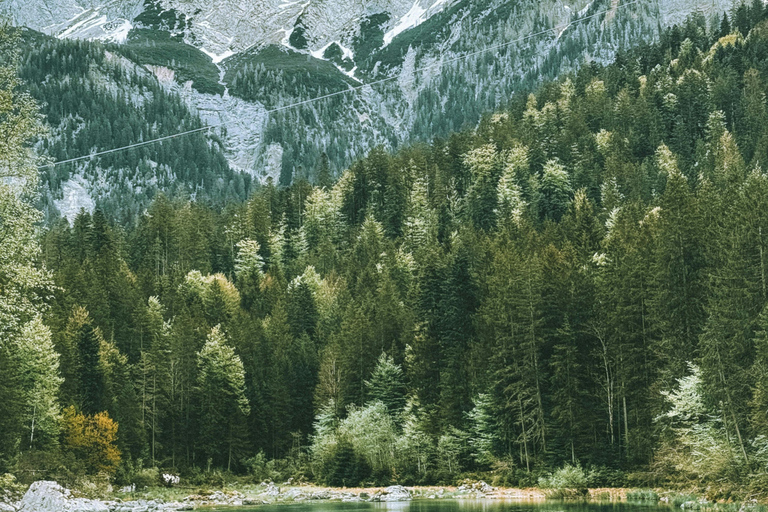 Munich: 4-Day Private Tour, Bavaria & Austria, Alps +Castles