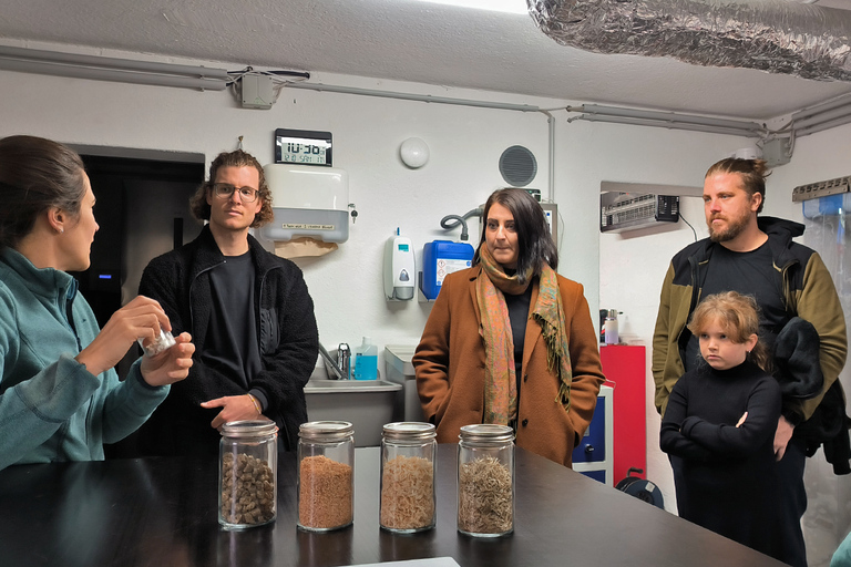 Zurich: Guided mushroom expedition and insights into the world of organic mushroom cultivation