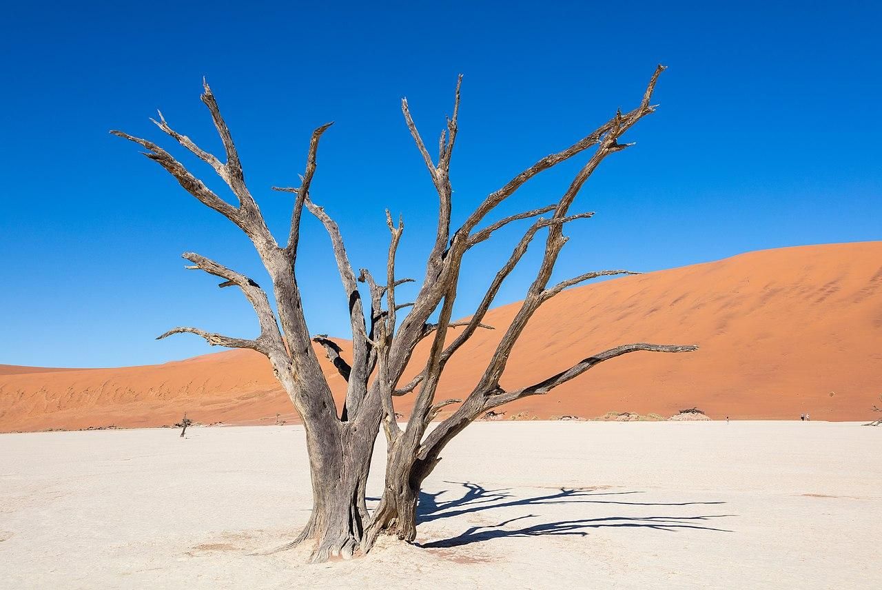 Von Windhoek aus: Budget Sossusvlei Guided 2-Day Tour