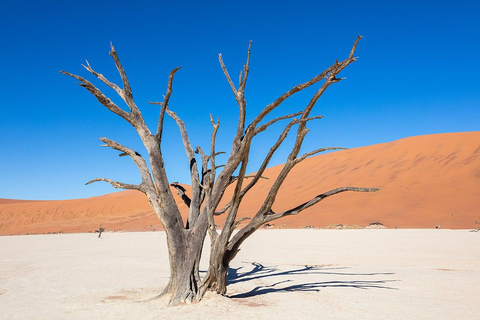 3 Daagse Sossusvlei en Swakopmund Tour