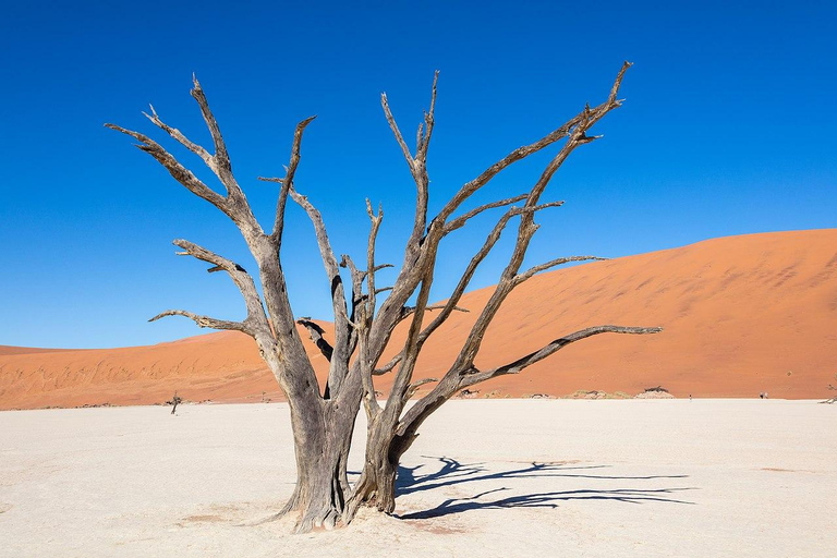 3-dniowa wycieczka do Sossusvlei i Swakopmund