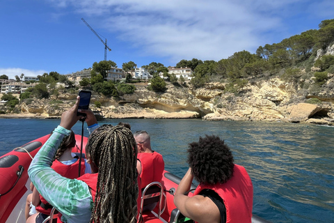 Palma de Mallorca: recorrido turístico en lancha rápida con recogidaAsientos estándar