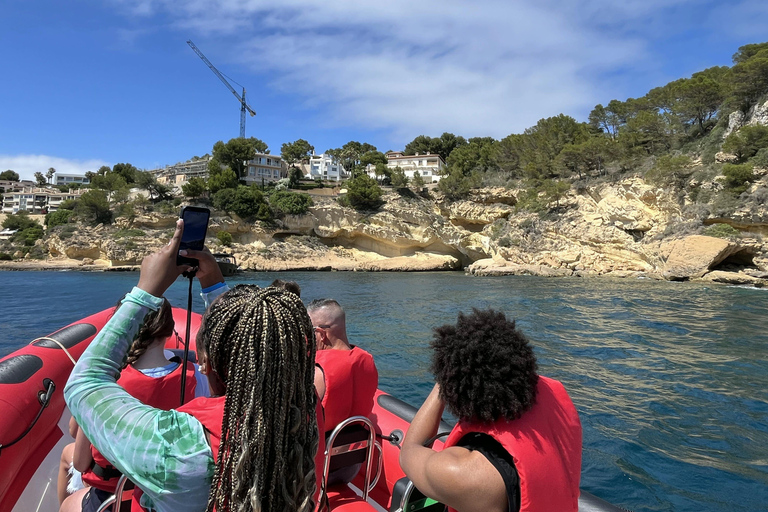 Palma de Mallorca: recorrido turístico en lancha rápida con recogidaAsientos estándar