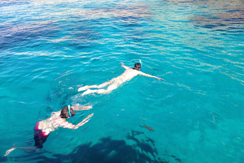 La Ciotat: poranny rejs wycieczkowy po Calanques z nurkowaniem z rurką