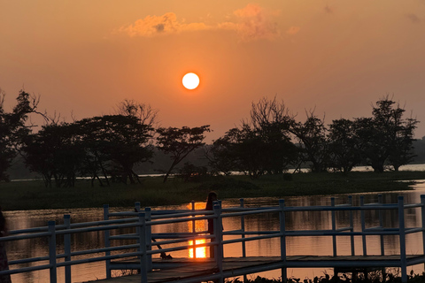 Minneriya Elephant Safari with Expert Local Driver-Guide