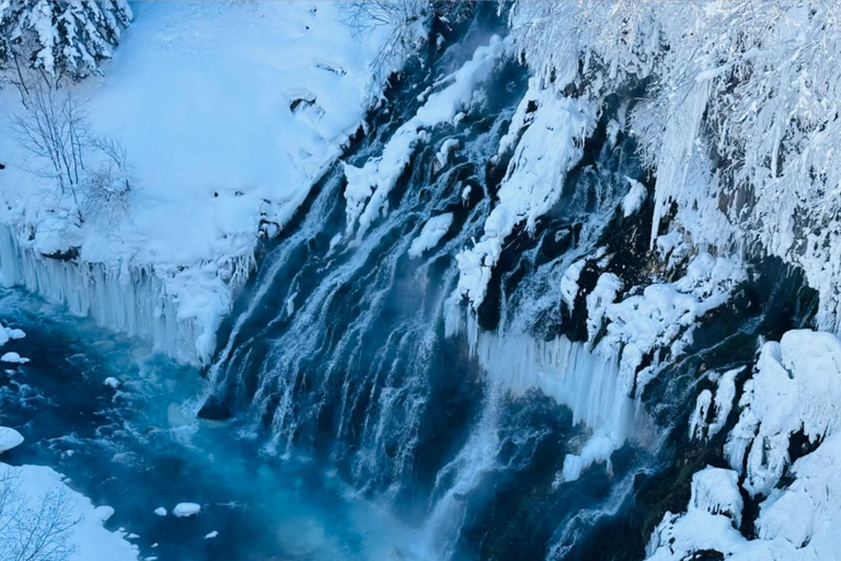 From Sapporo: Hokkaido Winter Tour with Asahiyama Zoo Comfortable 9-person Small Group: Hotel Pickup & Drop-off