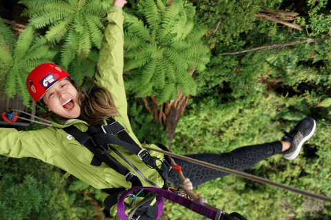 The best Rotorua Zip line adventures 2026 - Free cancellation