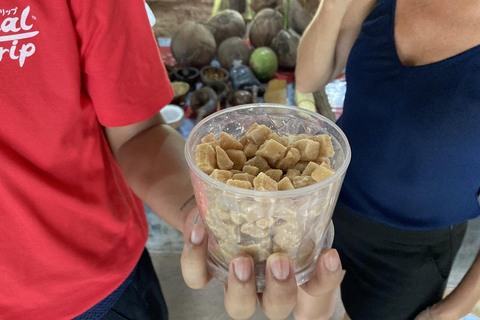 Damnoen Saduak & Maeklong Railway Market Tour