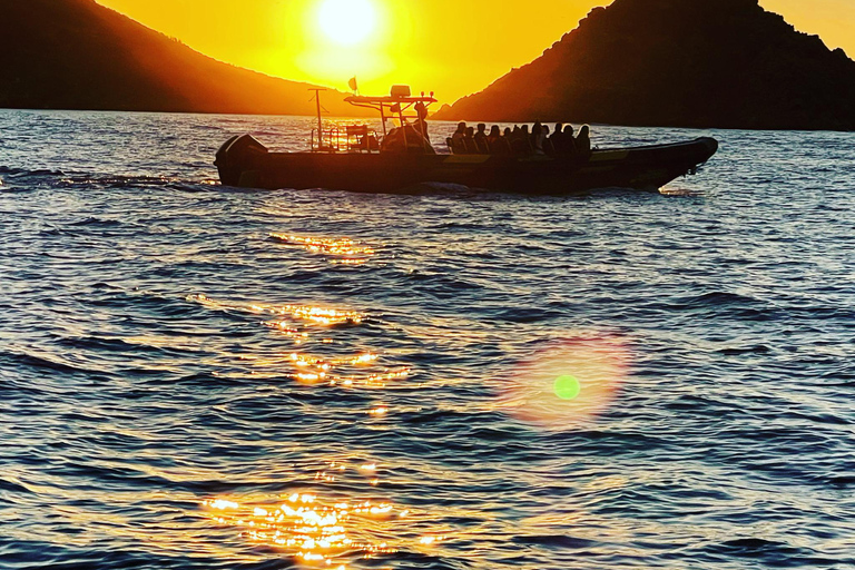 Cala d&#039;Orzu Sonnenuntergang, Cacoa und SchnorchelnVon Ajaccio aus: Sonnenuntergang in Cala d&#039;Orzu, Cacoa und Schnorcheln