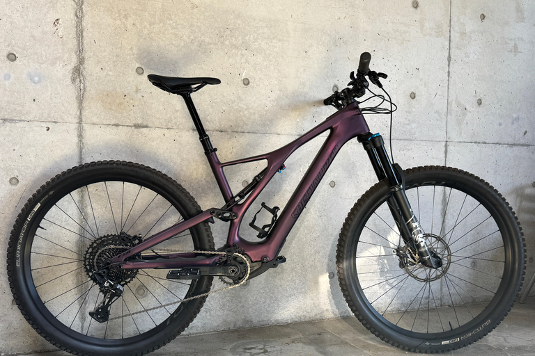 Osaka E MTB Trail Ride: Katsuo-ji Temple & Pilgrim Trails Advanced E-MTB Trail Experience Katuo-ji temple