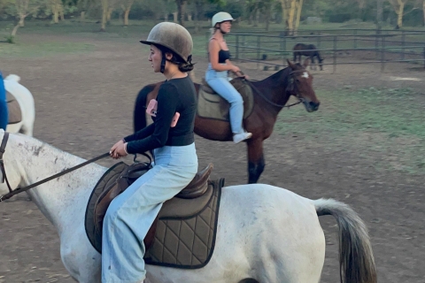 Arusha horse riding guided tour
