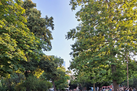 Sofia along its shady streets Sofia along the shady streets