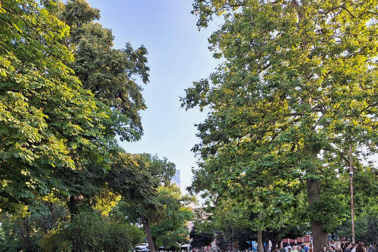 Sofia along its shady streets Sofia along the shady streets