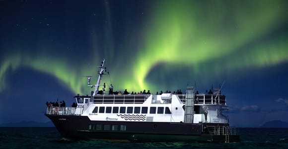 From Reykjavik: Northern Lights Sightseeing Cruise