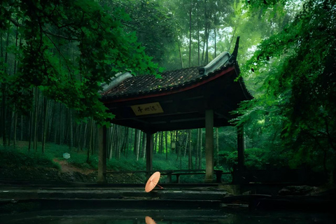 One-Day Hangzhou Tour: Explore Longjing Tea Culture