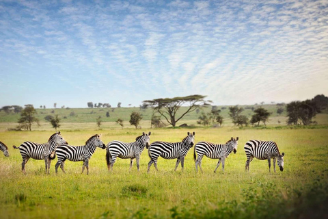 Tanzania: 10-Day Luxury Lodge Safari & Zanzibar Beaches