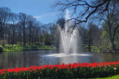 Amsterdam: Ultimate 7-Day Private guided Netherlands tour