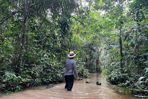 Amazonas Jungle Birdwatching Day Tour with Private Guide