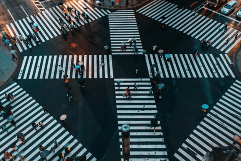 Città di Tokyo: Personalizza il tour di un giorno con autista che parla in inglese