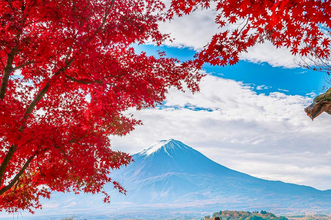 Tóquio: Viagem de 1 dia com visita privada ao Monte Fuji e Hakone