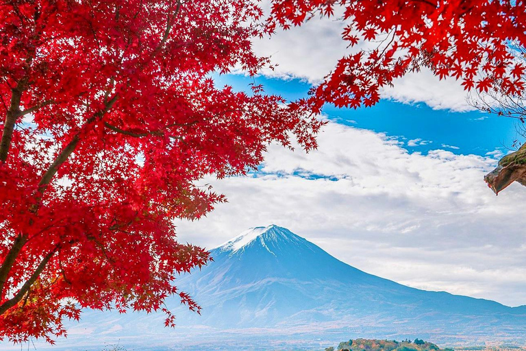 Tóquio: Viagem de 1 dia com visita privada ao Monte Fuji e Hakone