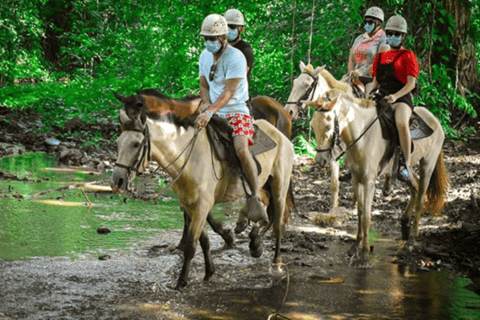 Punta Cana: Zipline, Buggy and Horseback Rides