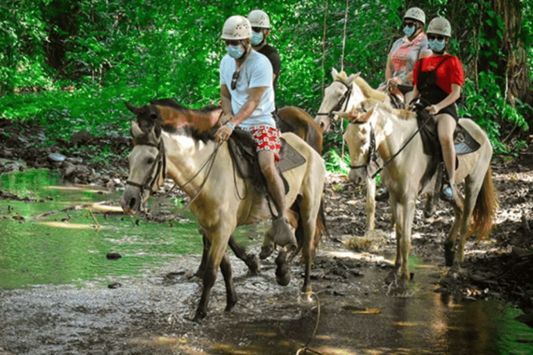 Punta Cana: Zipline, Buggy and Horseback Rides