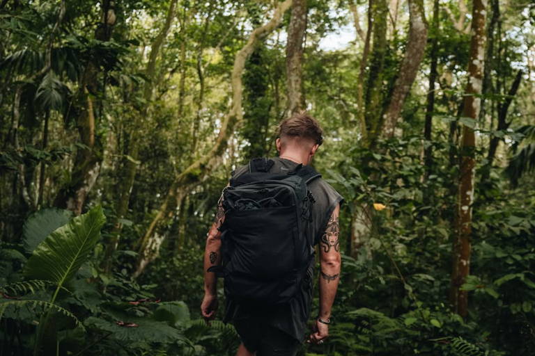 Tetebatu Waterfalls, Rice Terraces & Monkey Forest Day trip