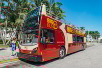 Miami Combo, Open-top Bus Tour & Millionaires Row Bay Cruise - Housity