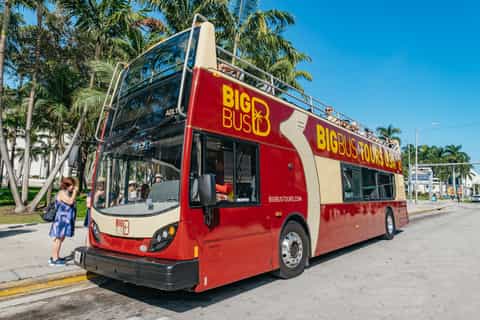 Miami: Big Bus Half-Day City Tour & Biscayne Bay Cruise