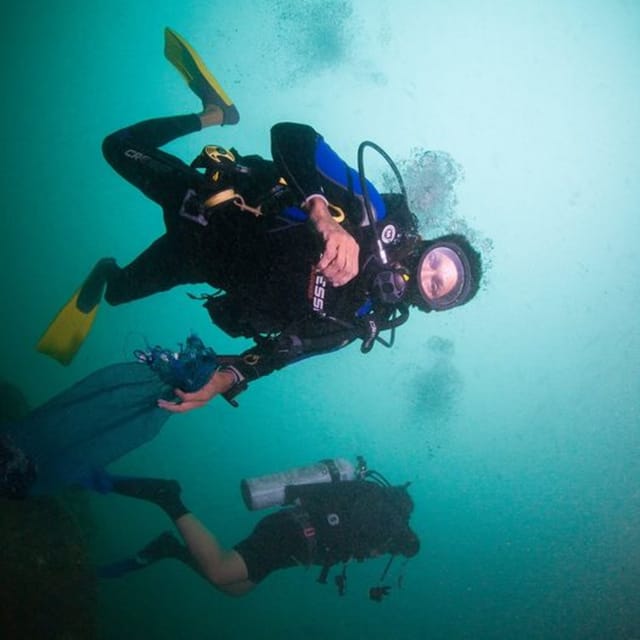 Puerto Vallarta Scuba Diving Expedition at El Malinal GetYourGuide