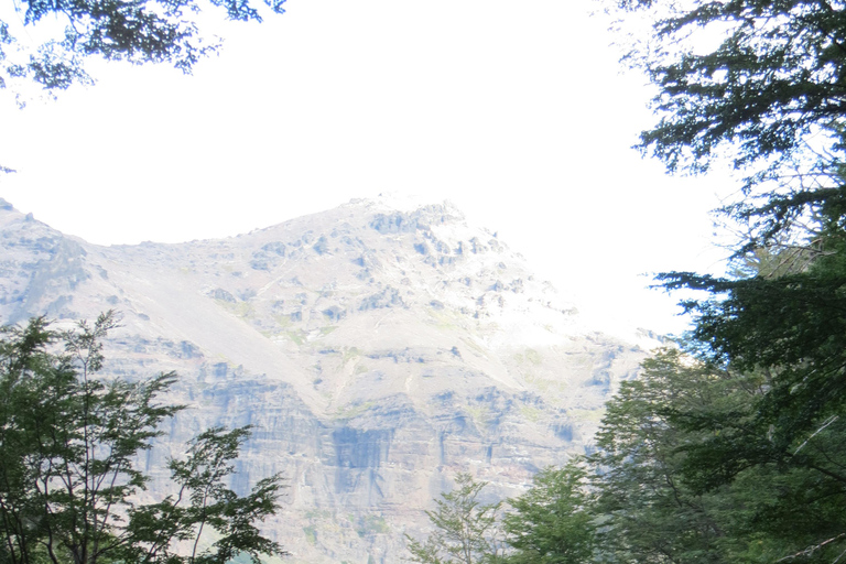 San Martin de los Andes Sightseeing Tour: Mallin Grande