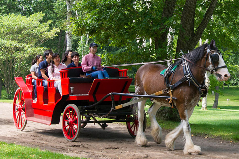 Hokkaido Summer: Fireworks Festival, Bon Dance & Horses Park