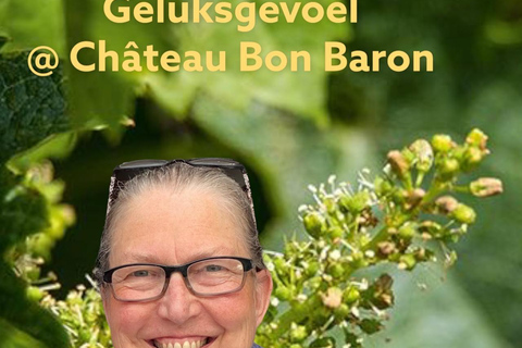 Dinant: Château Bon Baron Winery Tour with Wine Tasting