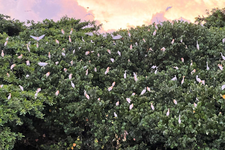 Mirissa to Matara Crocodile Watching Nilwala Boat Tours Private Boat River Fishing