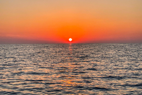 Can Picafort: Dolphin Watching Boat Tour with Swimming&caves Can Picafort: Dolphin Watching Boat Tour with Swimming stop