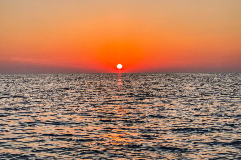 Can Picafort: Dolphin Watching Boat Tour with Swimming&caves Can Picafort: Dolphin Watching Boat Tour with Swimming stop