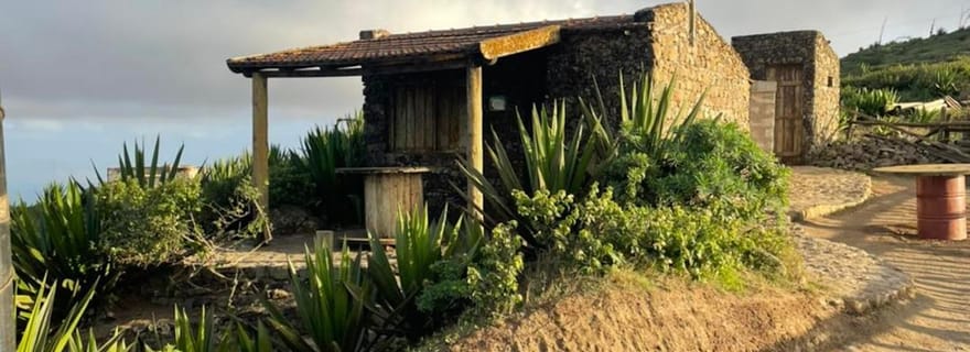 Monte Verde en voiture et maison de thé – Le point culminant de São Vicente