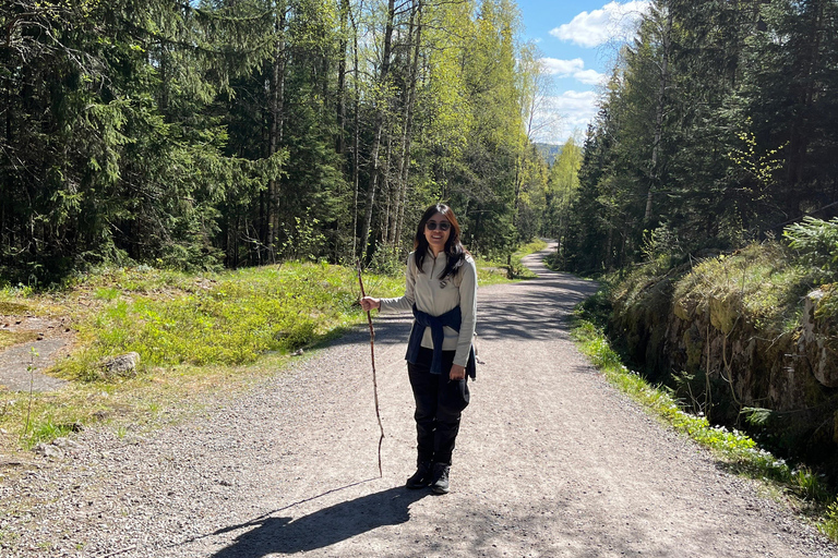 From Oslo: Norwegian Forest Survival Day Trip