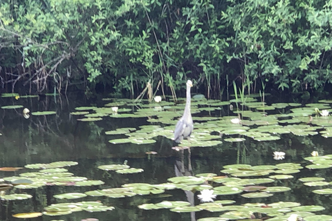 Waren (Müritz): Fun Cruise motor yacht with skipper - 4 hours Waren (Müritz): Fun Cruise motor yacht with skipper - 4 hours