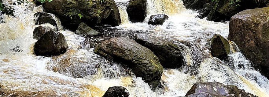 Randonnée à la cascade et à la montagne de Torc. Kerry. Visite guidée privée.
