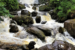 Cascada Torc: Excursiones y visitas guiadas