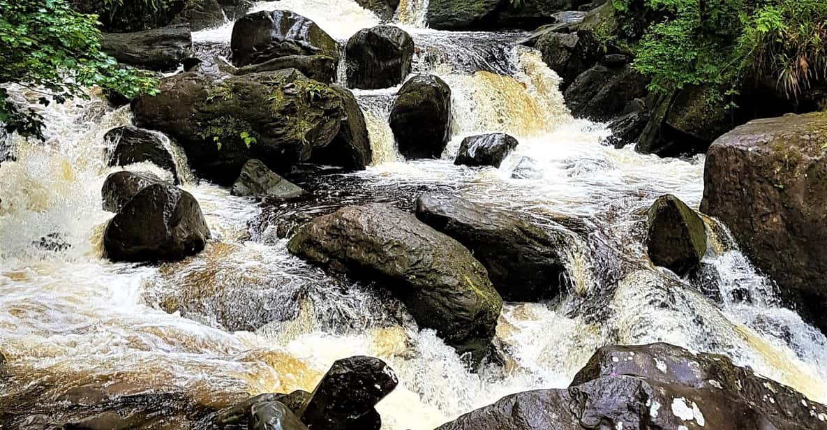 Torc waterfall & mountain hike. Kerry. Private guided. | GetYourGuide