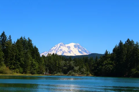 Hiking in Mount Rainier Private Tour from Seattle