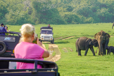 Minneriya: Full-Day 4x4 Safari, Secret Trails & Jungle Lunch Full Day Safari