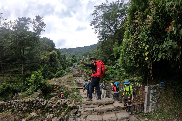 Pokhara: Szybki trekking do bazy pod Annapurną