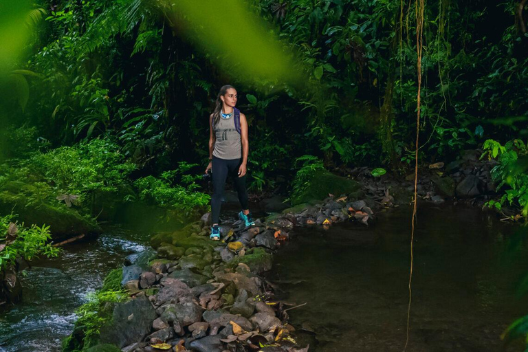 Excursion d&#039;une journée au Rio Celeste depuis San José